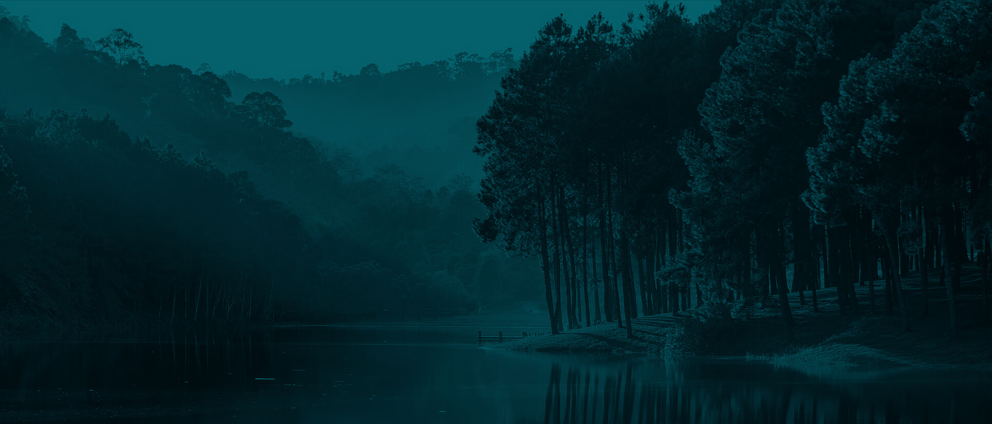 Illustration de l'eau verte