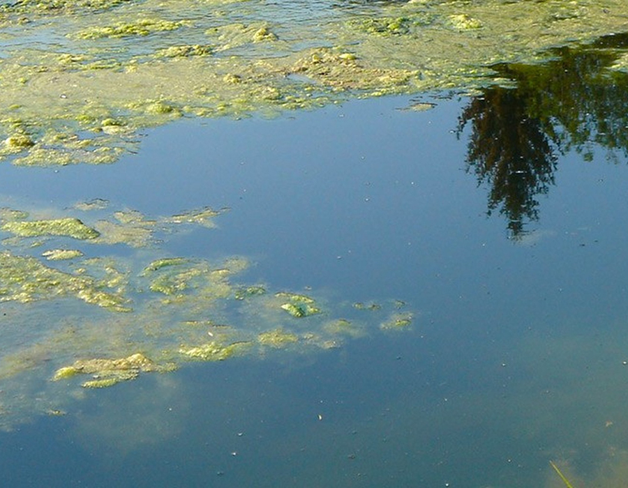 Qualité & Chimie de l'eau : Apparence & équilibre