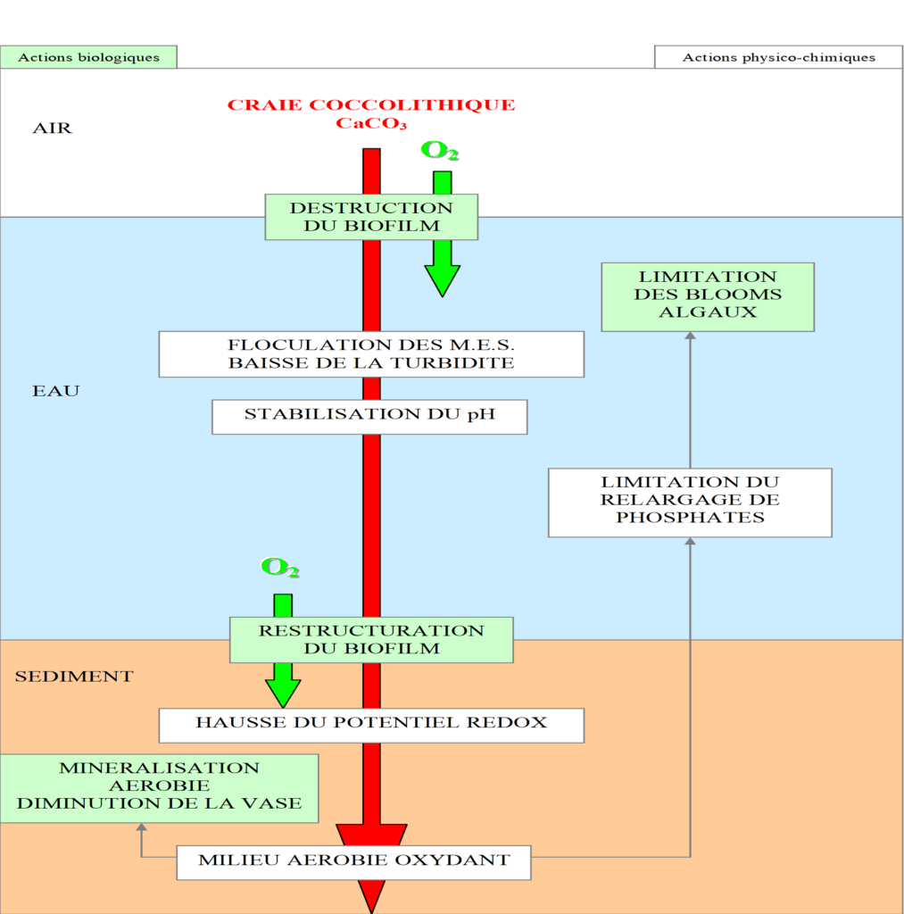 schema fonctionnement NAUTEX