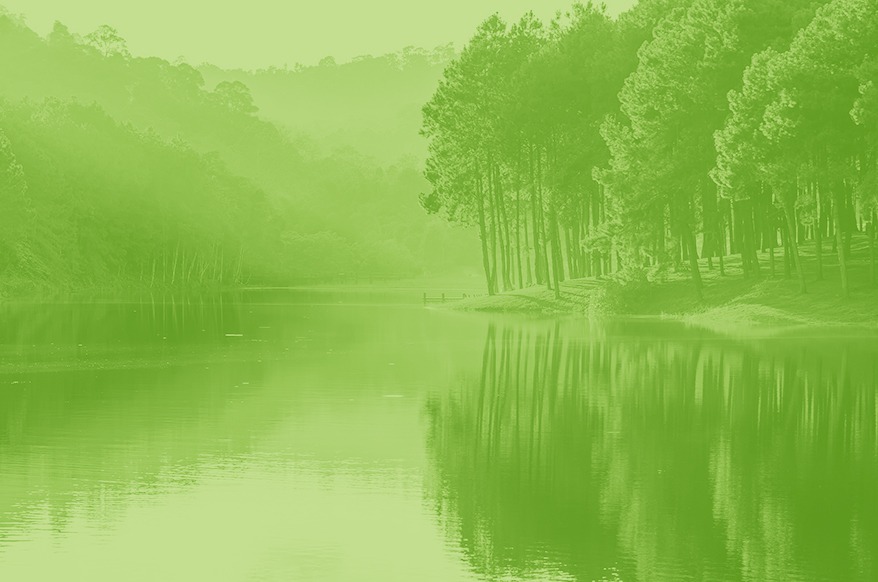 lac et foret