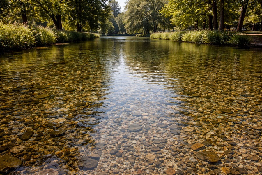 lentilles d eau chataignes d eau 2 1