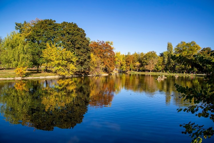 Les cyanobactéries : génie de l’évolution, fléau des eaux modernes