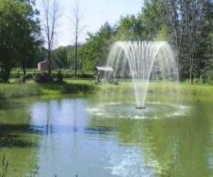 modele saule