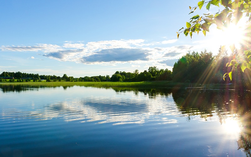 Eau verte, eau trouble : comprendre le diagnostic biologique pour retrouver une eau claire