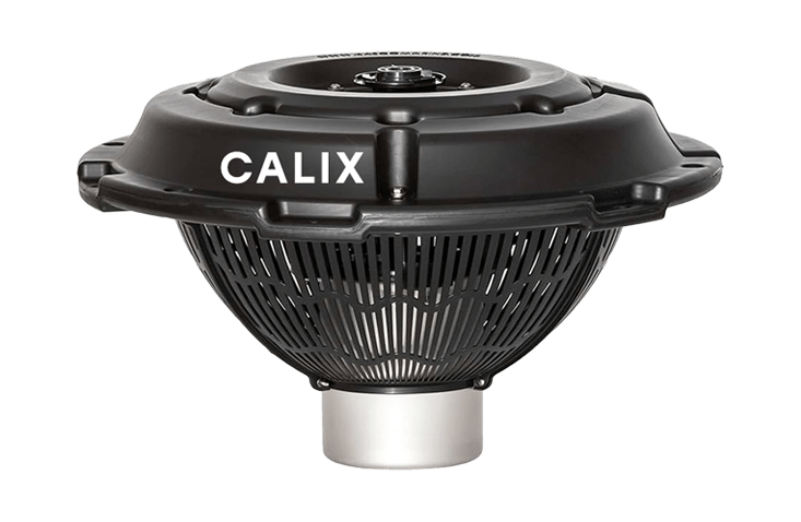 calix