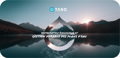img thumbnail taso