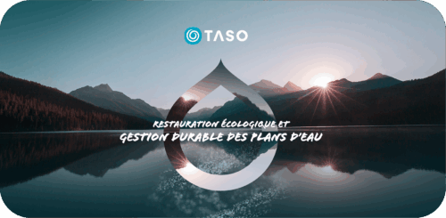 img thumbnail taso
